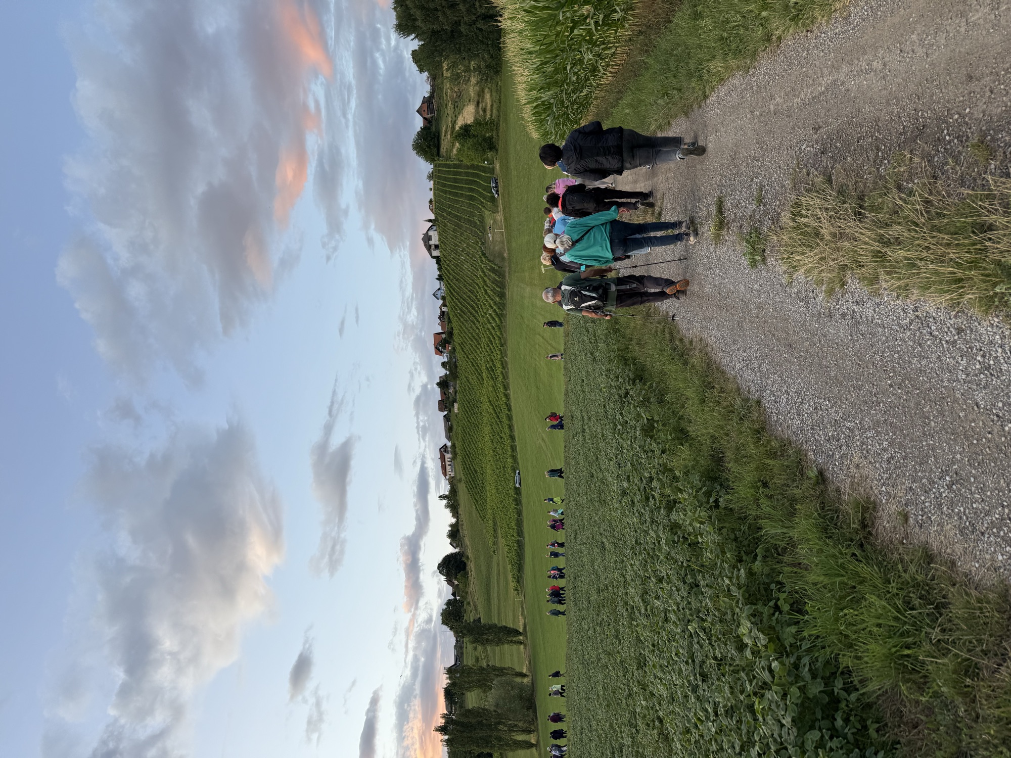 Gäste der Riedenwanderung auf einem Feldweg durch das Wildbachtal am Abend