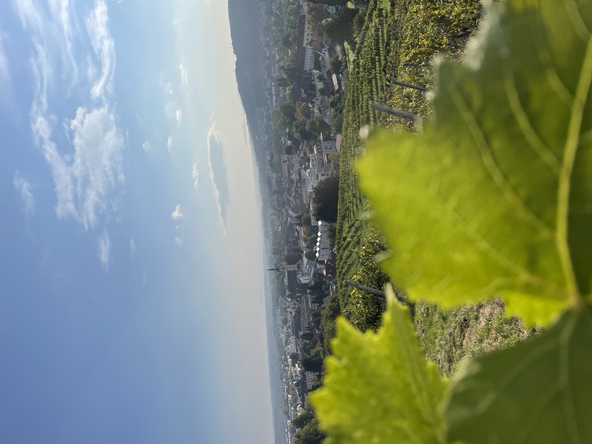 Morgenstimmung in der Ried Burgegg mit Blick über Deutschlandsberg