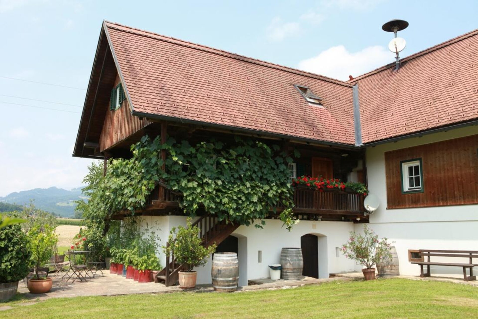 Das Weingut Resch in Wildbach mit begrünter Laube und Blick über die Hügel
